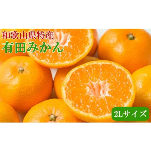 ふるさと納税 果物類 みかん 和歌山県 有田川町  秀品 和歌山有田みかん約4kg(2Lサイズ) 2026年11月中旬頃より順次発送［TM199w］ | 