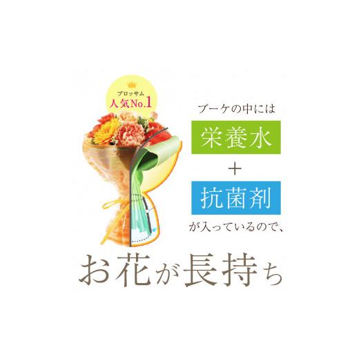ふるさと納税 花・苗木 花束 兵庫県 加古川市  そのまま飾れるブーケ フレンチブーケ(Mサイズ)Blossom select 2402U03804_05 Blossom select(フローリストにお…の画像