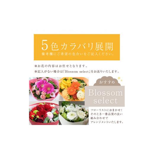ふるさと納税 花・苗木 花束 兵庫県 加古川市  そのまま飾れるブーケ フレンチブーケ(Mサイズ)Blossom select 2402U03804_05 Blossom select(フローリストにお…の画像