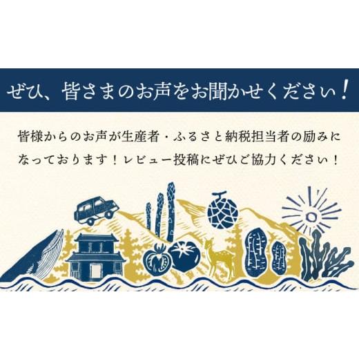 ふるさと納税 肉 長崎県 小値賀町 全3回定期便 長崎 角煮まんじゅう 12個 （箱）・ 大とろ角煮まんじゅう 10個 （箱） 岩崎本舗 DBG013 角煮まん 角煮 豚角煮…