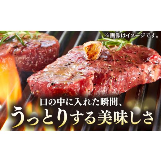 ふるさと納税 牛肉 ヒレ 長崎県 壱岐市  全6回定期便 ＼ぐるナイで紹介／極上 壱岐牛 A5ランク ヒレステーキ 200g×2枚（雌）《壱岐市》 KRAZY MEAT JER031 ヒ…_2