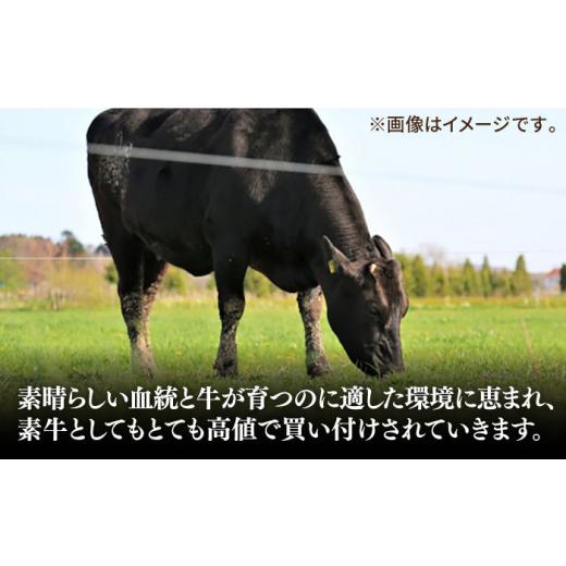 ふるさと納税 牛肉 ヒレ 長崎県 壱岐市  全6回定期便 ＼ぐるナイで紹介／極上 壱岐牛 A5ランク ヒレステーキ 200g×2枚（雌）《壱岐市》 KRAZY MEAT JER031 ヒ…_6