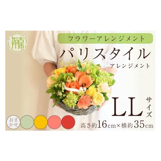 ふるさと納税 雑貨・日用品 花 兵庫県 加古川市 フラワーアレンジメント パリスタイルアレンジメント(LLサイズ)イエローオレンジ系 2404U03808_02 イエローオ…
