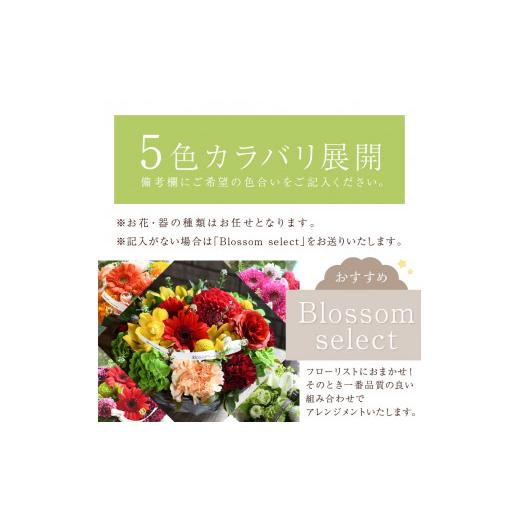 ふるさと納税 雑貨・日用品 花 兵庫県 加古川市 フラワーアレンジメント パリスタイルアレンジメント(LLサイズ)レッド系 2404U03808_03 レッド系_3