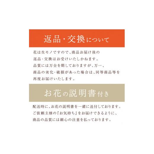 ふるさと納税 雑貨・日用品 花 兵庫県 加古川市 フラワーアレンジメント パリスタイルアレンジメント(LLサイズ)レッド系 2404U03808_03 レッド系_7
