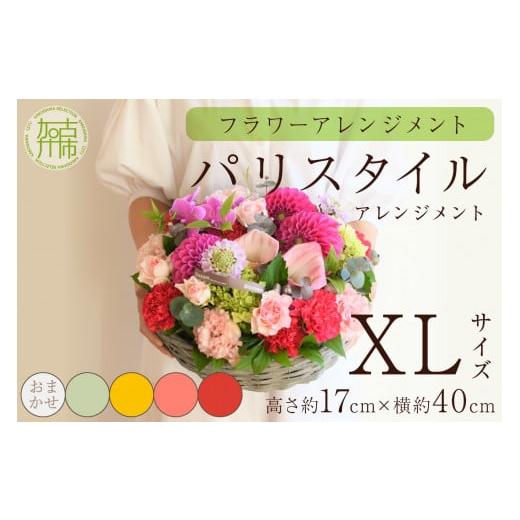 ふるさと納税 雑貨・日用品 花 兵庫県 加古川市 フラワーアレンジメント パリスタイルアレンジメント(XLサイズ)ホワイトグリーン系 2406U03809_04 ホワイトグ…
