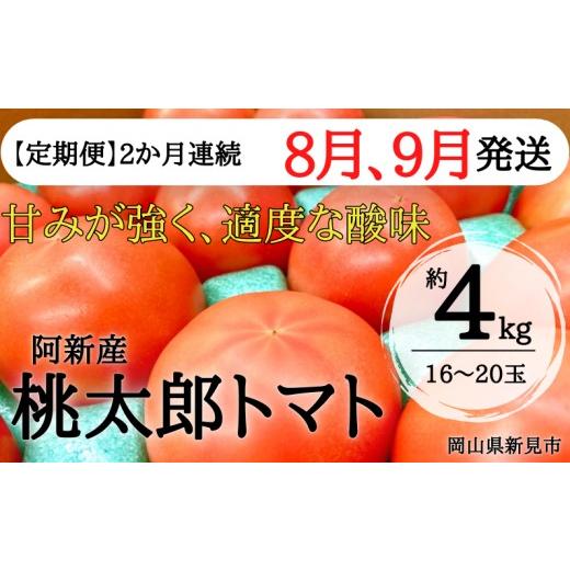 ふるさと納税 野菜類 トマト 岡山県 新見市 定期便:2026年8・9月発送 阿新産桃太郎トマト 1箱 約4kg 16〜20玉 2か月連続お届け 2026年8月・9月発送分