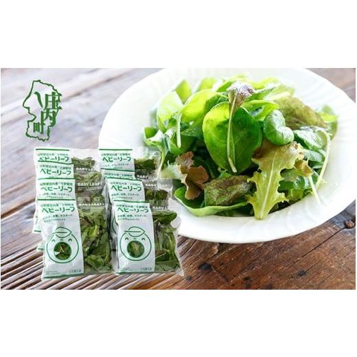 ふるさと納税 セット・詰合せ 山形県 庄内町 庄内産 ベビーリーフミックス 40g×8袋 土耕栽培 サラダ スムージー 若葉 野菜 生野菜 新鮮 山形県 冷蔵 40g×8袋