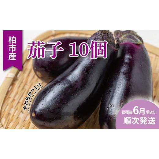 ふるさと納税 野菜類 茄子 千葉県 柏市 柏市産 やわらか茄子 10個 [先行予約 2026年6月順次発送] [ なす ナス 野菜 セット 国産 千葉県産 おいしい 美味し…