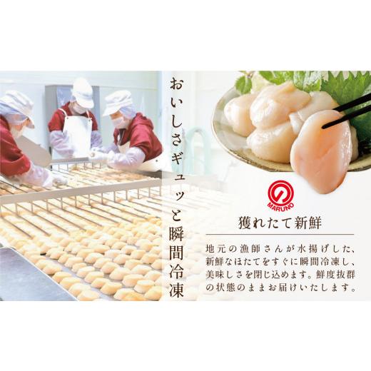ふるさと納税 魚貝類 ホタテ 北海道 別海町 野付産 漁協直送 冷凍