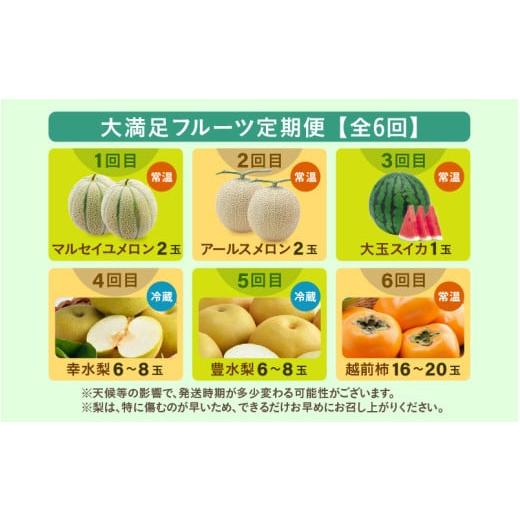 ふるさと納税 果物の詰合せ 福井県 あわら市 先行予約 《全6回》あわら