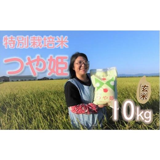 ふるさと納税 山形県 三川町 【令和5年産・玄米】小野寺農園の特別栽培米つや姫10kg 令和5年産 玄米