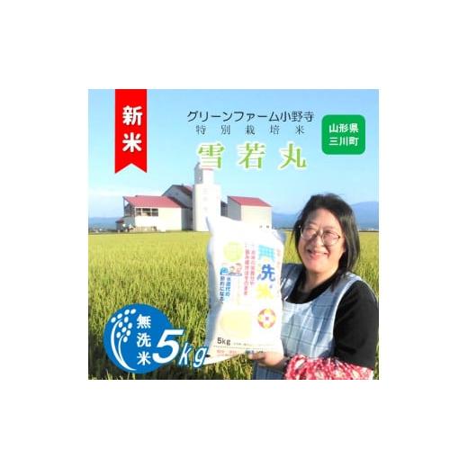 ふるさと納税 米 山形県 三川町 令和7年産 [無洗米]グリーンファーム小野寺の雪若丸5kg 10月中旬頃から順次配送予定 令和7年産 10月中旬頃から順次配送