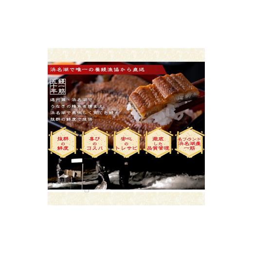 ふるさと納税 静岡県 浜松市 浜名湖産うなぎ長蒲焼パック80g×3枚入り【国産うなぎ】【配送不可：離島】[No.5786-4632]｜furusatochoice｜05