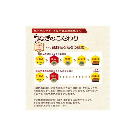 ふるさと納税 静岡県 浜松市 浜名湖産うなぎ長蒲焼パック80g×3枚入り【国産うなぎ】【配送不可：離島】[No.5786-4632]｜furusatochoice｜06