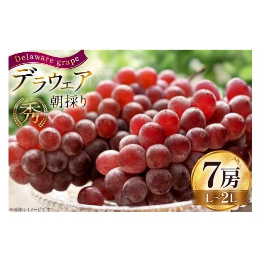 ふるさと納税 果物類 ぶどう 山形県 高畠町 期間限定発送 ぶどう 朝採り デラウェア 秀 L〜2L 7房 約 1kg Hinataぶどう園 山形県 高畠町 tk06ayt190008 種無…