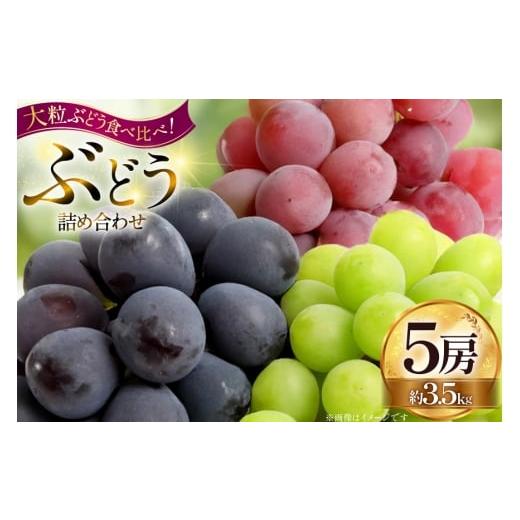 ふるさと納税 ぶどう マスカット 山形県 高畠町 期間限定発送 ぶどう 詰め合わせ 5房 約3.5kg Hinataぶどう園 山形県 高畠町 tk06ayt190004 ぶどう ブドウ …