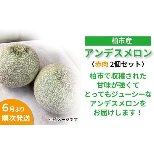 ふるさと納税 メロン メロン赤肉 千葉県 柏市 柏市産 アンデスメロン 赤2個 [先行予約 2026年6月順次発送] [ フルーツ 果物 セット 赤肉 旬 国産 産地直送 …