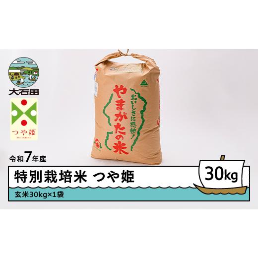 ふるさと納税 米 つや姫 山形県 大石田町 米 令和8年7月下旬発送 つや姫30kg 玄米 令和7年産 沖縄・離島への配送不可 ja-tsgxa30-7s 令和8年7月下旬 発送の画像