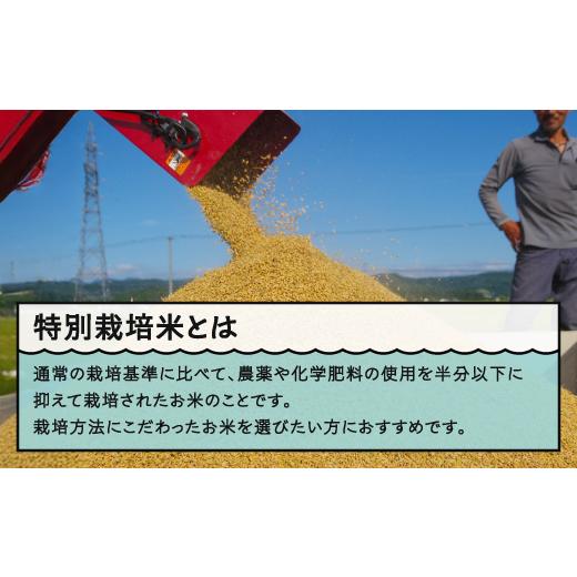 ふるさと納税 米 つや姫 山形県 大石田町 米 令和8年7月下旬発送 つや姫30kg 玄米 令和7年産 沖縄・離島への配送不可 ja-tsgxa30-7s 令和8年7月下旬 発送の画像