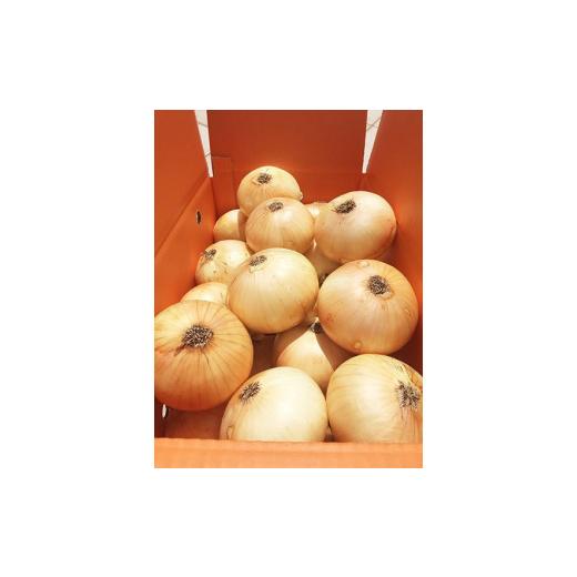 ふるさと納税 野菜類 玉ねぎ 兵庫県 南あわじ市 淡路島産新玉ねぎ うずしお甘玉ねぎ 10kg  配送2月下旬〜6月下旬 うずしお甘玉ねぎ 10kgの画像