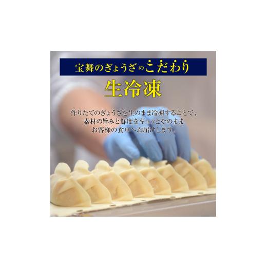 ふるさと納税 肉 埼玉県 志木市 定期便12ヵ月 （大容量）手ごね和ぎょうざ（54個入1袋）×2_5