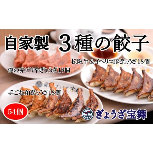 ふるさと納税 埼玉県 志木市 3種のぎょうざ食べ比べセット(54個)