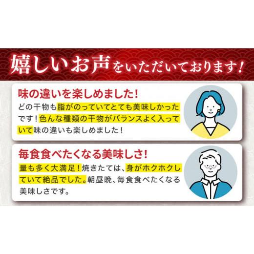 ふるさと納税 干物 アジ 長崎県 壱岐市  全12回定期便 ひものや つかもとの旬のおまかせ干物詰め合わせ《竹》 JDR014 干物 ひもの みりん干し おまかせ 詰め合…の画像