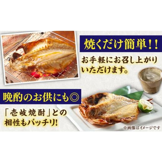 ふるさと納税 干物 アジ 長崎県 壱岐市  全12回定期便 ひものや つかもとの旬のおまかせ干物詰め合わせ《竹》 JDR014 干物 ひもの みりん干し おまかせ 詰め合…の画像