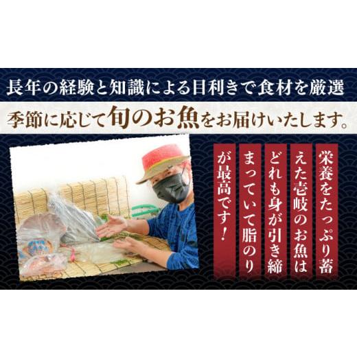 ふるさと納税 干物 アジ 長崎県 壱岐市  全12回定期便 ひものや つかもとの旬のおまかせ干物詰め合わせ《竹》 JDR014 干物 ひもの みりん干し おまかせ 詰め合…の画像
