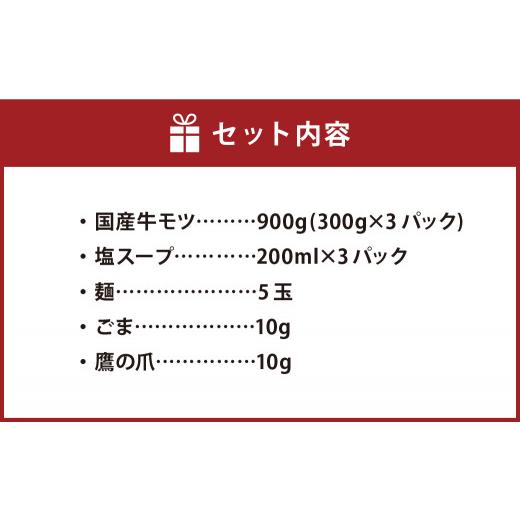 ふるさと納税 福岡県 広川町 絶品国産 塩もつ鍋 9人前 麺付き 鍋 牛もつ 牛肉