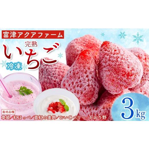 ふるさと納税 いちご 千葉県 富津市 富津アクアファーム 冷凍完熟いちご 3kg(1kg×3パック) いちご フルーツ 果物 完熟 ストロベリー ベリー 冷凍 アクア…