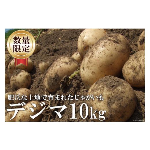 ふるさと納税 野菜類 じゃがいも 長崎県 島原市 BG093 令和8年度出荷分 肥沃な土地で育まれた じゃがいも (デジマ) 数量限定