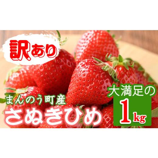 ふるさと納税 香川県 まんのう町 [期間限定!2024年3月下旬以降順次発送予定][訳あり] [選べる容量]香川県産 さぬきひめいちご(約1kg) [man106・man10…