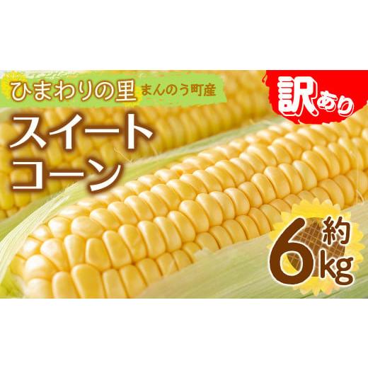 ふるさと納税 とうもろこし 香川県 まんのう町 先行予約 2026年6月上旬以降順次発送予定 訳あり・家庭用 イエローコーン(約6kg) man114・man115 Aglio nero …