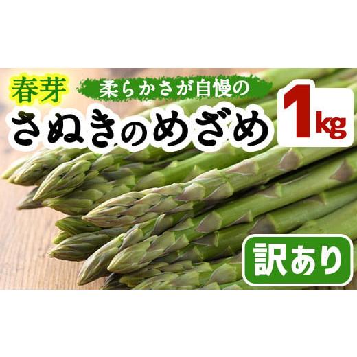 ふるさと納税 香川県 まんのう町 [期間限定!2024年2月下旬以降順次発送予定][訳あり・家庭用]春芽!アスパラガス「さぬきのめざめ」(約1kg) アスパラガス…