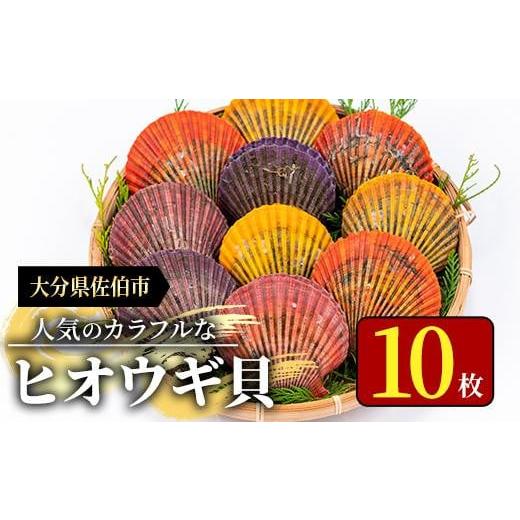 ふるさと納税 大分県 佐伯市 ヒオウギ貝 (10枚) [AS119][海べ (株)]