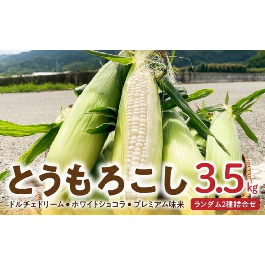 ふるさと納税 とうもろこし 福岡県 久留米市 2026年6月より順次発送 とうもろこし ドルチェドリーム、ホワイトショコラ、プレミアム味来 ランダム2種詰合せ3.…