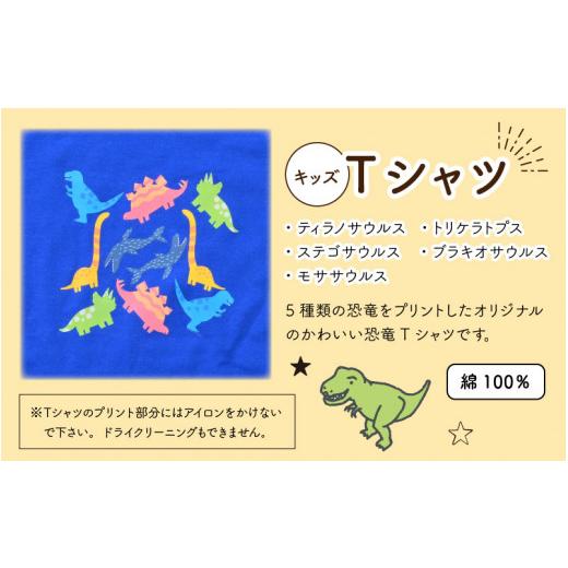 ふるさと納税 福井県 勝山市 キッズTシャツ(M／ブルー)と防水ケース(黒×ピンク)の2点セット[A-003007_02_03]