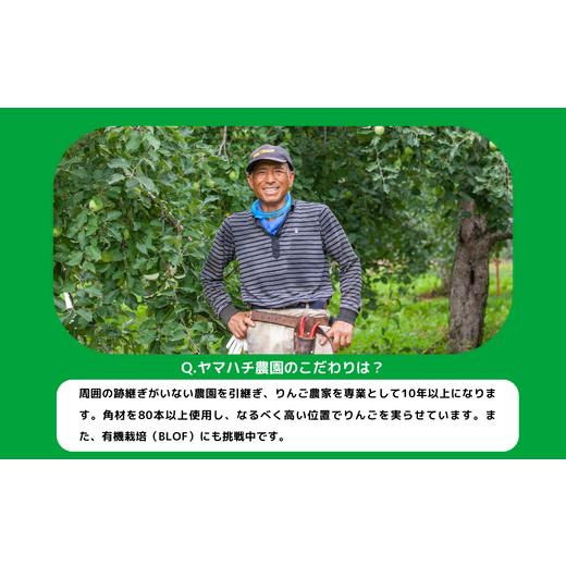 ふるさと納税 米 コシヒカリ 長野県 飯綱町  玄米 こしひかり 30kg ( 令和8年産 ) ヤマハチ農園 2026年11月上旬頃から順次発送予定 コシヒカリ お米 信州 予約…の画像