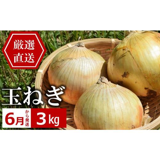 ふるさと納税 野菜類 玉ねぎ 新潟県 柏崎市 先行予約・6月中旬〜発送 やたらうんめぇ 玉ねぎ 3kg 産地直送 水田環境鑑定士在籍
