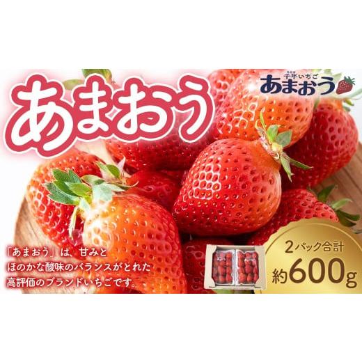 ふるさと納税 いちご 福岡県 うきは市 千年いちご あまおうイチゴ (300g×2パック) 2月お届け あまおう いちご イチゴ 苺 フルーツ 果物 冷蔵 送料無料 福岡県…