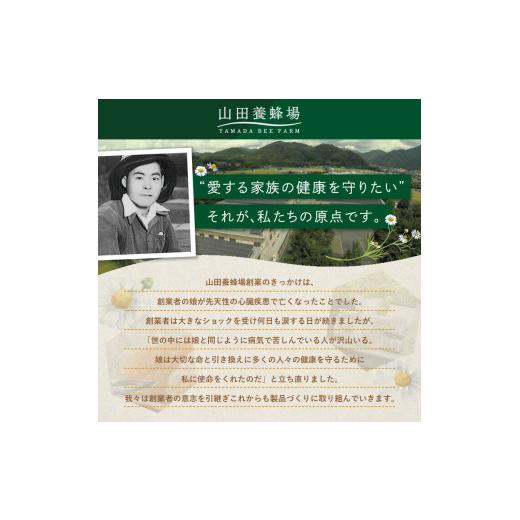 ふるさと納税 加工品等 はちみつ 岡山県 津山市 里山の百花蜂蜜 1kgビン入(3595)_はちみつ ハチミツ 国産 健康食品 人気 ナチュラル 蜂蜜 蜂 蜜 百花 百花蜜 …の画像