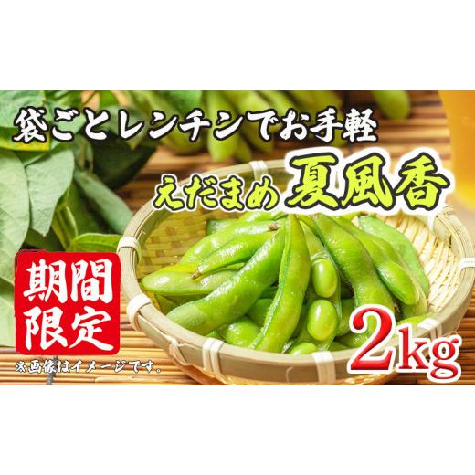 ふるさと納税 豆類 枝豆 静岡県 沼津市 2026年発送 先行予約 えだまめ 枝豆 2kg 200g 10袋 レンチン レンジ お手軽 ビール おつまみ 新鮮 野菜 やさい 今が旬…