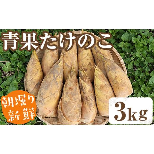 ふるさと納税 野菜類 鹿児島県 阿久根市 平日着 先行予約受付中 2026年2月下旬以降順次発送予定 朝堀り青果たけのこ(約3kg) 国産 新鮮 タケノコ 青果 竹の子 …