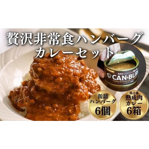 ふるさと納税 加工品等 レトルト 岩手県 一関市 [格之進]贅沢非常食セット(大) 格之進 門崎熟成肉カレー6個、缶詰ハンバーグ(ハンバーグオイル漬)6個 お歳暮…