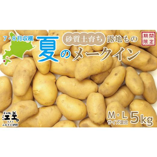 ふるさと納税 野菜類 じゃがいも 北海道 江差町 早期予約:2026年7月頃〜順次出荷予定 砂質土育ち「夏」メークイン M・L混合5kg 露地もの 手掘り 江差産メ…