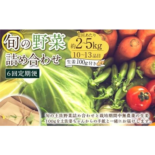 ふるさと納税 セット・詰合せ 高知県 香美市  定期便6回 旬の野菜の詰め合わせと栽培期間中農薬不使用の生姜100g付き 詰め合わせ 野菜セット 野菜 ギフト やさ…の画像