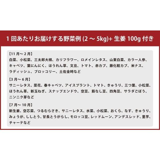 ふるさと納税 セット・詰合せ 高知県 香美市  定期便6回 旬の野菜の詰め合わせと栽培期間中農薬不使用の生姜100g付き 詰め合わせ 野菜セット 野菜 ギフト やさ…の画像