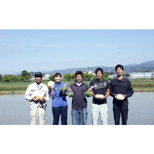 ふるさと納税 セット・詰合せ 高知県 香美市  定期便6回 旬の野菜の詰め合わせと栽培期間中農薬不使用の生姜100g付き 詰め合わせ 野菜セット 野菜 ギフト やさ…の画像